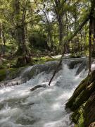 Cabañas San Sebastián