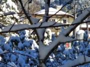 Wohlfühl-Appartement Bergsee FAMILY - am Wildsee - SUP und Schlitten for free