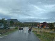 Lakeside Chalet Vinkka