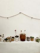 Casa Blava, Casco Antiguo de Peñíscola