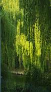 Top Luoyang