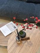 Osaka KyoSai-C 凡涧