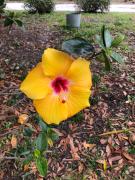 Top Saint Petersburg