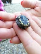 Top Békésszentandrás