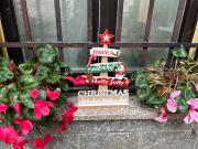 Top Porto Ceresio Top Porto Ceresio