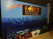 Kobes Beachfront Haven