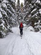 Ferienwohnung Zirbenzapfen - Auszeit in den Seetaler Alpen