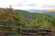 Top Dandridge