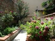 Charming Garden in Florence