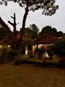 OKIN 6 La Emperatriz