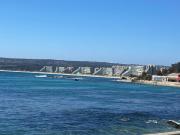 Top Algarrobo