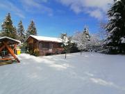 Ezüst fenyő vendégház