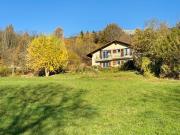 Sunny Lily facing the swiss Alps - Crans Montana