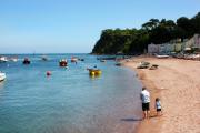 Top Shaldon