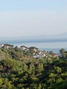 Top Skiathos Town Top Skiathos Town
