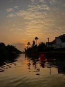 Top Alleppey