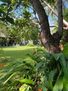 PRIVATE OASIS! New Casita with Parking, Garden and Outdoor Kitchen!