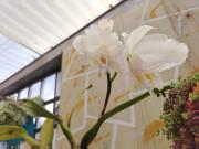 Top Chiquinquirá Top Chiquinquirá