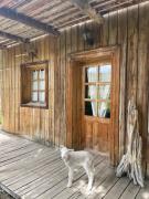 Top Gobernador Gregores