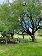 Top Gobernador Gregores