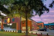 Top Gainesville