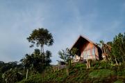 Top Kintamani