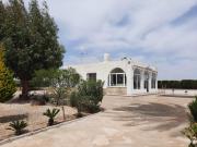 Preciosa finca con piscina R105 by Novadesta