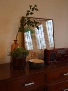 Top Bangkok Top Bangkok