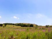Top Krugersdorp
