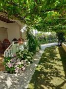 Top Supetarska Draga