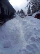 Rozprávková HÁJENKA v Nízkych Tatrách