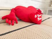 Top Le Chambon-sur-Lignon