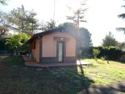 Top Nicolosi Top Nicolosi