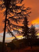 Top Nicolosi Top Nicolosi