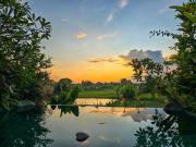 Top Ubud