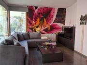 Top Nicosia