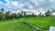 Top Ubud