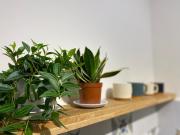 Niah Cozy Home - Hoan Kiem Lake