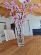 Jungfrau Penthouse - Aare Jungfrau AG