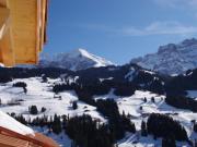Top Adelboden Top Adelboden