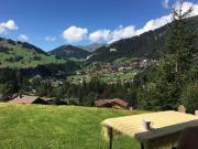 Top Adelboden