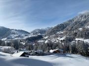 Top Adelboden