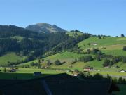 Top Zweisimmen