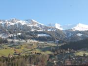 Top Lenk