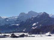 Top Lenk