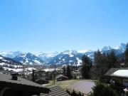 Top Hornkessel Top Hornkessel