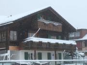 Top Adelboden Top Adelboden