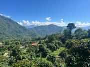 Top Pelling