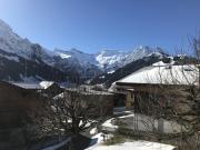 Top Adelboden