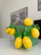 Top Cefalù Top Cefalù